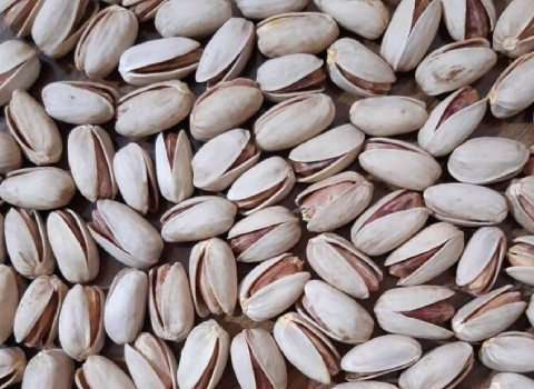 تصویر 4 از خرید عمده پسته اکبری صادراتی
